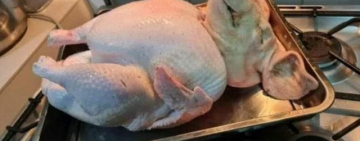 Russian so called "repressive cuisine" 2010 - 2022